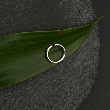 Small Silver Ring (8mm)